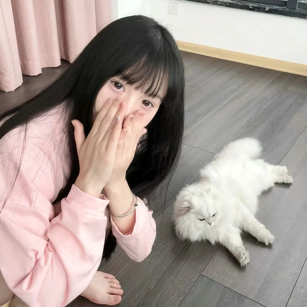 奉旨宠君