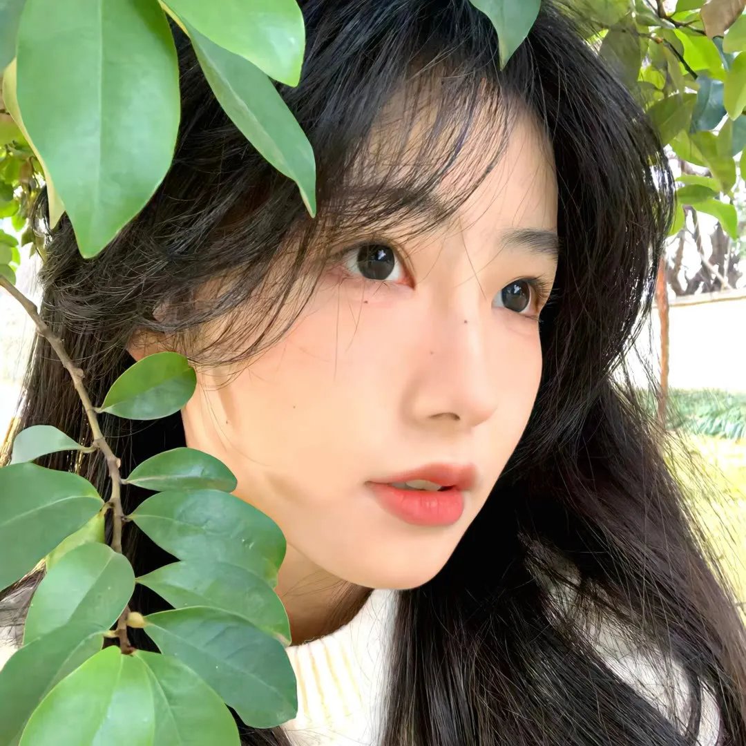寻找葛莉丝